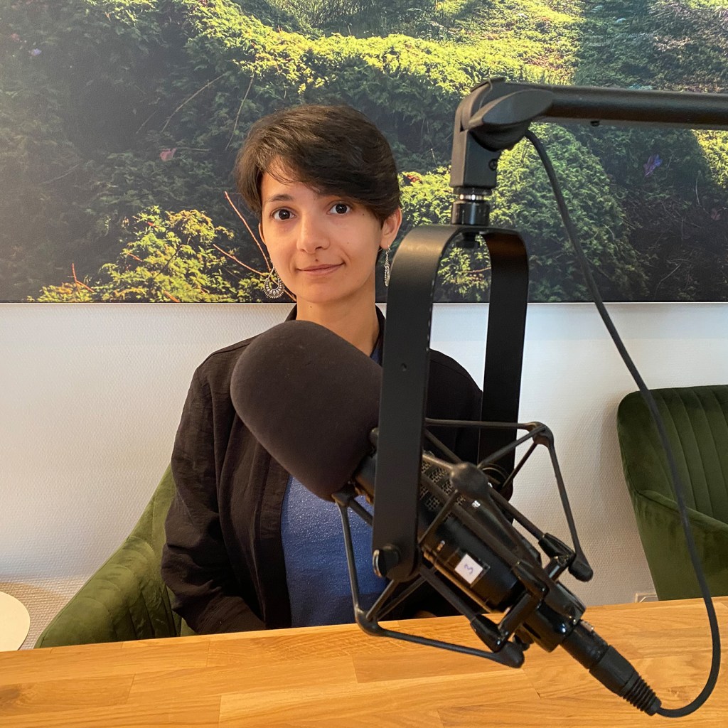 Podcast with RSF: Azerbaijan; The regime’s arm reaches as far as&nbsp;Europe